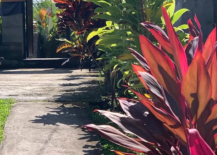Paraiso 2* Ubud