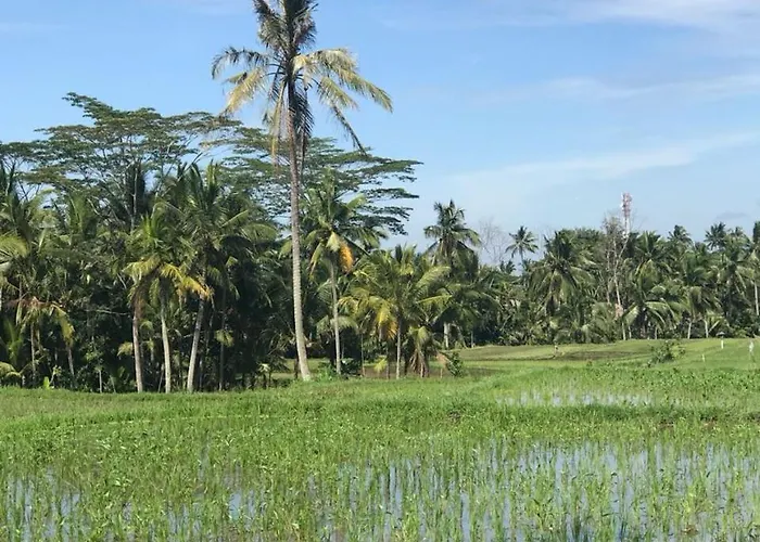 Gasthof Paraiso